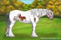 Horse Color:White Spotted Brown Tobiano 