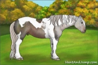 Horse Color:Silver Black Tobiano 