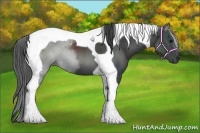 Horse Color:Black Tobiano 