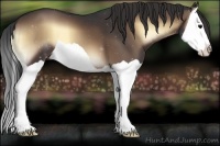 Horse Color:Brown Onyx Splash