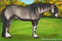 Horse Color:Smoky Blue Onyx Sabino