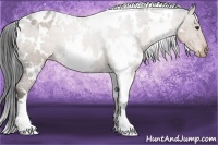 Horse Color:White Spotted Liver Chestnut Varnish 