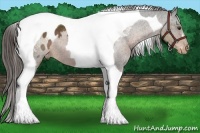 Horse Color:Liver Chestnut Tobiano Varnish 