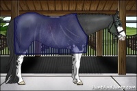 Horse Color:Black Sabino Rabicano 