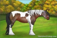 Horse Color:Bay Tobiano 