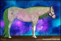 Horse Color:Watercolor Bay Ice 