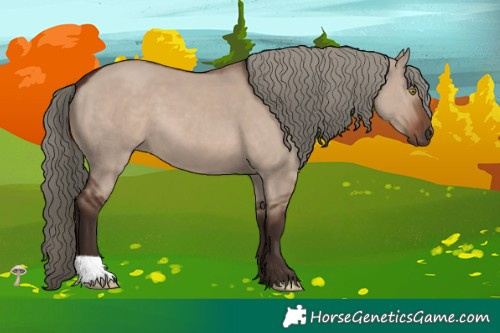 Horse Color:Liver Red Dun Mushroom 