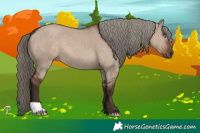 Horse Color:Liver Red Dun Mushroom 