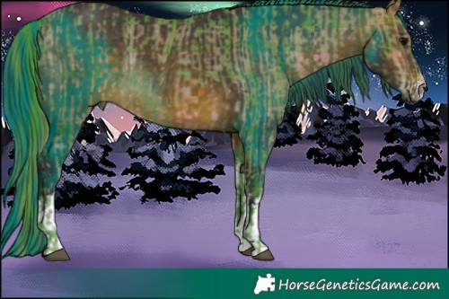 Horse Color:Watercolor Plaid  White Spotted Brown  and Painted White Spotted Buckskin Rabicano 