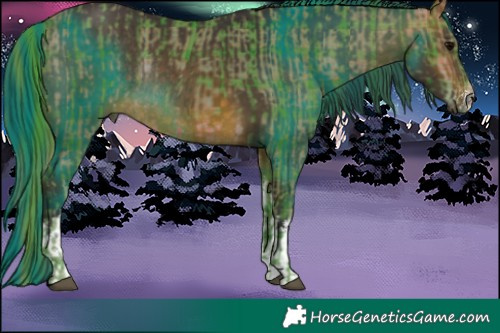 Horse Color:Watercolor Plaid  White Spotted Brown  and Painted White Spotted Buckskin Rabicano 