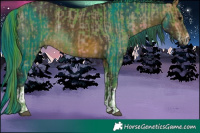 Horse Color:Watercolor Plaid  White Spotted Brown  and Painted White Spotted Buckskin Rabicano 