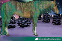 Horse Color:Watercolor Plaid  White Spotted Brown  and Painted White Spotted Buckskin Rabicano 