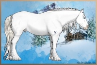 Horse Color:Perlino Ice Dun Sabino Near Leopard 