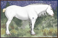 Horse Color:Buckskin Roan Dun Sabino Varnish 