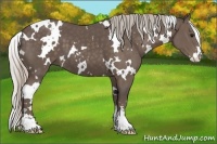 Horse Color:White Spotted Silver Black Sabino 