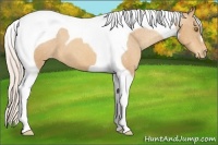 Horse Color:Silver Amber Champagne Tobiano Varnish