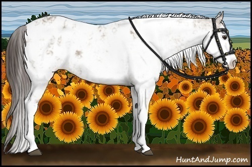 Horse Color:Liver Red Dun Sabino Blanket 