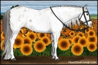 Horse Color:Liver Red Dun Sabino Blanket