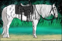 Horse Color:Watercolor Liver Red Dun Ice Sabino Splash Appaloosa Rabicano