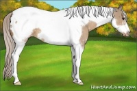 Horse Color:Silver Bay Dun Tobiano Frame Varnish 