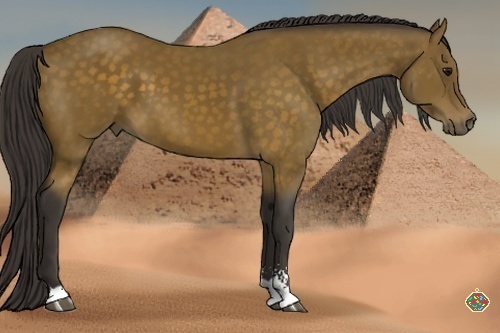 Horse Color:Buckskin Sabino 