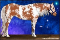 Horse Color:White Spotted Silver Bay Ice