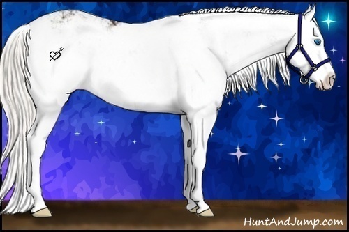 Horse Color:Silver Buckskin Ice Sabino Splash Varnish