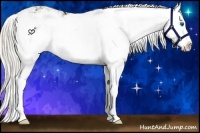 Horse Color:Silver Buckskin Ice Sabino Splash Varnish
