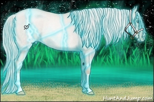 Horse Color:Thunderstruck Watercolor Gold Cream Champagne Roan Pearl Dun Rabicano 