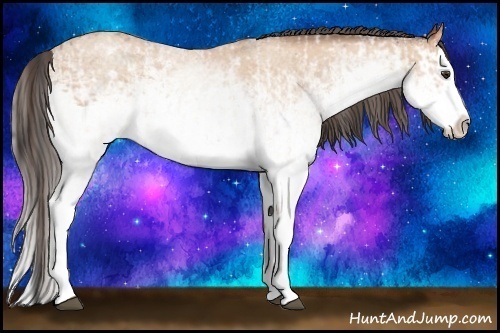 Horse Color:White Spotted Bay Splash  and White Spotted Amber Champagne Splash 