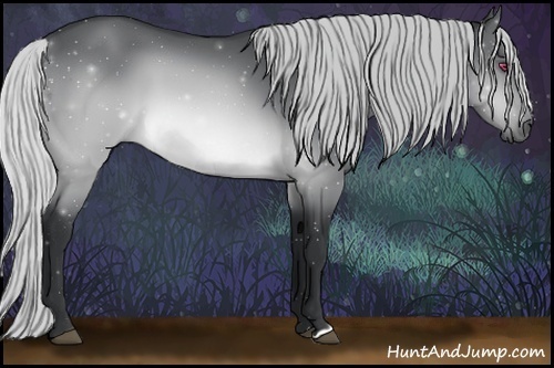 Horse Color:Silver Brown Chinchilla 