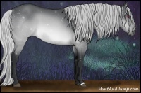 Horse Color:Silver Brown Chinchilla 