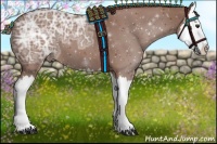 Horse Color:Chestnut Ice Splash 