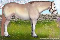 Horse Color:Watercolor White Spotted Red Onyx 