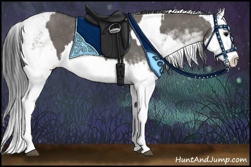 Horse Color:Grullo Sabino Splash  and Grullo Sabino Splash 