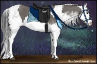 Horse Color:Grullo Sabino Splash  and Grullo Sabino Splash 