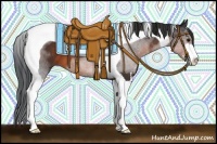 Horse Color:Brown Sabino Tobiano