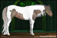 Horse Color:Silver Black Tobiano 