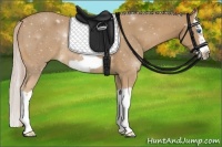 Horse Color:Palomino Splash Frame Rabicano