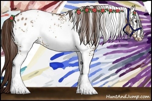 Horse Color:White Spotted Liver Red Dun Blanket Rabicano 