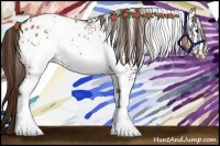 Horse Color:White Spotted Liver Red Dun Appaloosa Rabicano