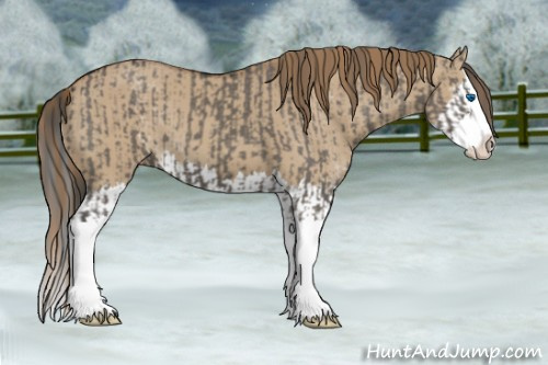 Horse Color:Smoky Grullo Sabino Splash and Gray Smoky Creme Dun Sabino Splash