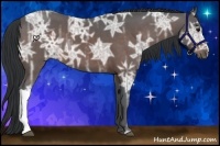 Horse Color:Bay Ice 