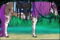 Horse Color:Painted Liver Chestnut Sabino