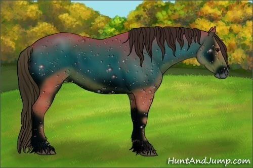 Horse Color:ERROR: UNKNOWN ANOMALY