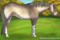 Horse Color:Liver Red Onyx Roan
