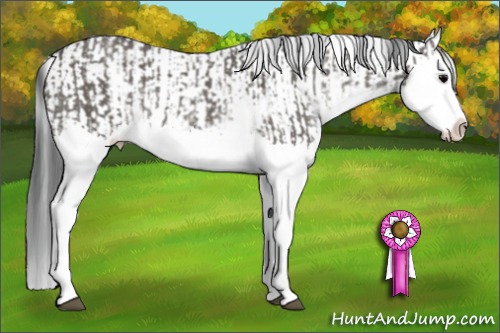 Horse Color:Grullo Sabino Splash and Grullo Sabino Splash