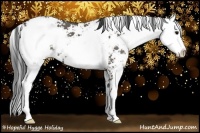 Horse Color:Grullo Sabino 