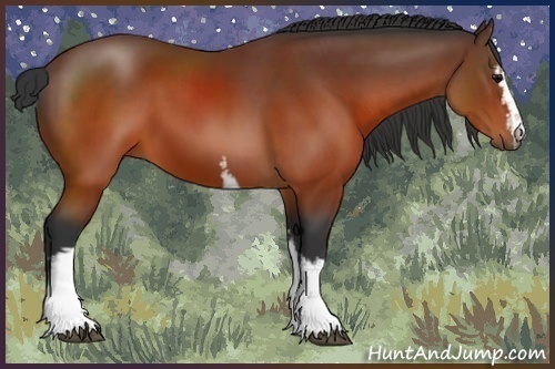 Horse Color:White Spotted Brown Sabino 