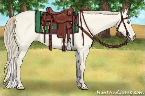 Horse Color:Perlino Dun